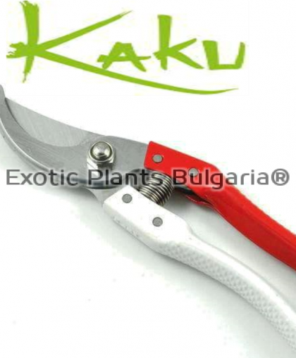 Kaku® pruning shears SK5