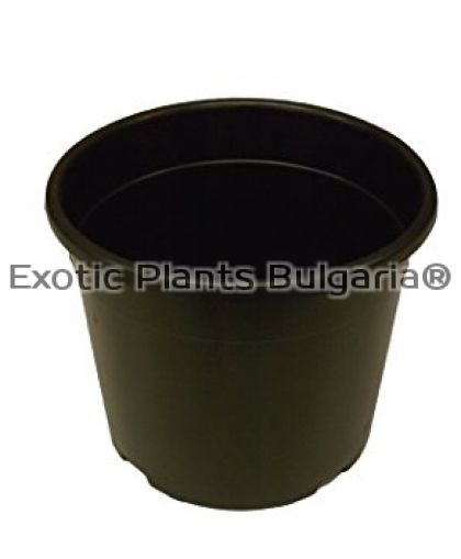 Round nursery pot - 24x24 - 9.5 ltr / Кръгли работни саксии