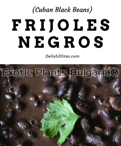 FRIJOLES NEGROS- 20 pcs